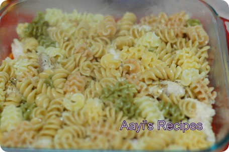 baked pasta with chicken-veg5