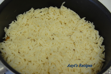 lucknowi biryani8